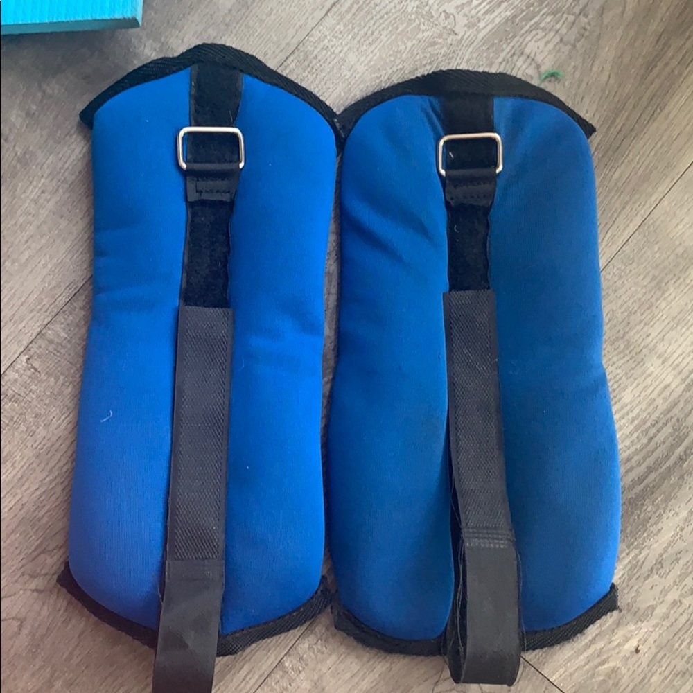 2.5 lb ankle weights